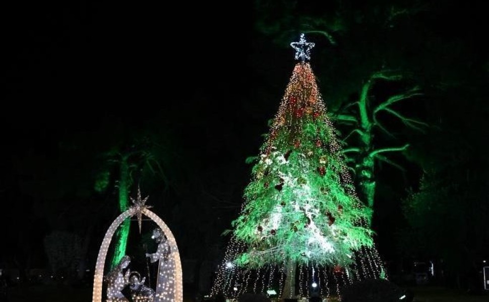 Το Χριστουγεννιάτικο Δέντρο στο στρατόπεδο «Παπάγου» (φωτο: ΥΠΕΘΑ)