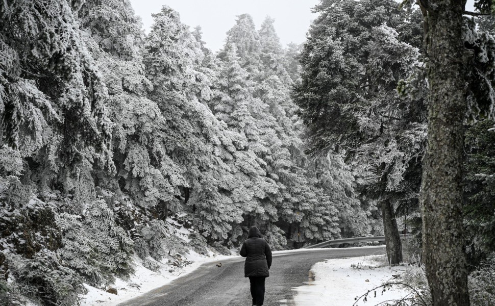 Εικόνα από τη χιονισμένη Πάρνηθα (φωτο αρχείου: Eurokinissi)