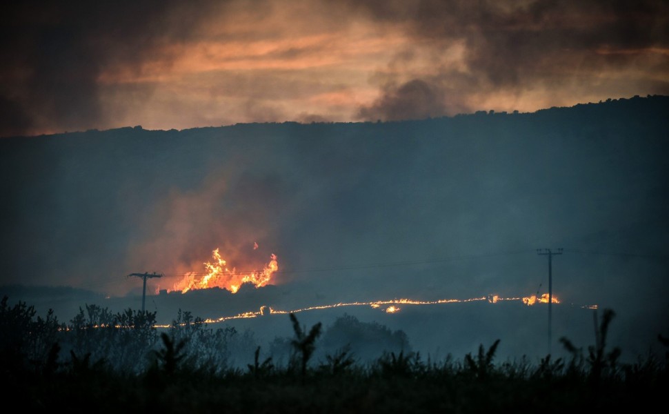 Πυρκαγιά στον Βόλο, Τετάρτη 26 Ιουλίου 2023  (ΒΑΣΙΛΗΣ ΟΙΚΟΝΟΜΟΥ/EUROKINISSI)