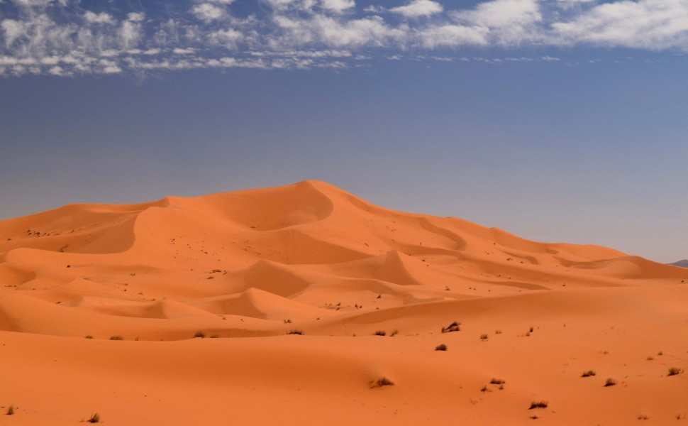 Aστεροειδείς αμμόλοφοι - Μαρόκο / Reuters