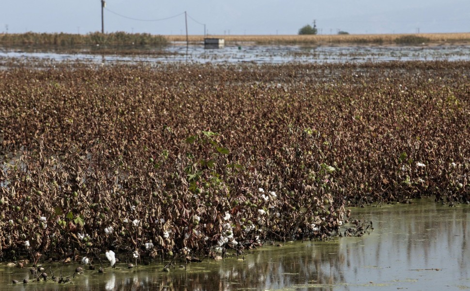 Εικόνα από πλημμυρισμένες καλλιέργειες στον θεσσαλικό κάμπο από την κακοκαιρία «Ντάνιελ» (φωτο: Eurokinissi)