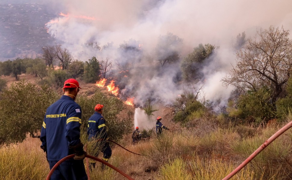 πυροσβέστες δίνουν μάχη για να σβήσουν φωτιά / Eurokinissi
