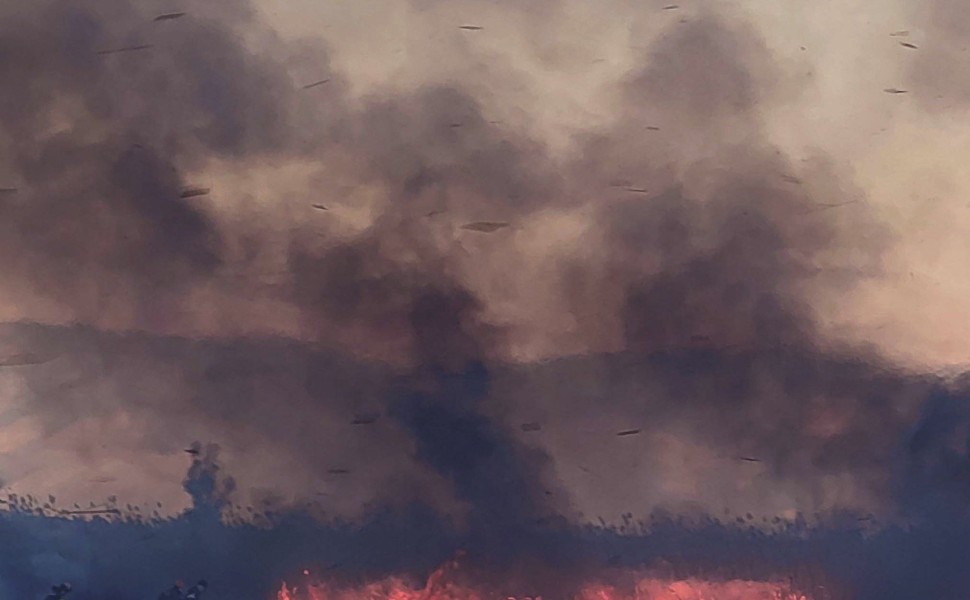 Φωτογραφία αρχείου. Εικόνα από το μέτωπο της φωτιάς στην Αργολίδα (φωτο: ΑΠΕ-ΜΠΕ/ΜΠΟΥΓΙΩΤΗΣ ΕΥΑΓΓΕΛΟΣ)