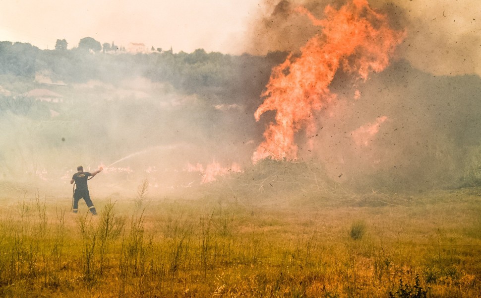 Εικόνα από τη φωτιά στην Ηλεία (φωτο: Eurokinissi)