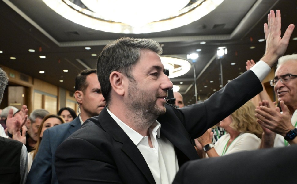 Ο Νίκος Ανδρουλάκης στην Κεντρική Επιτροπή του ΠΑΣΟΚ / Eurokinissi