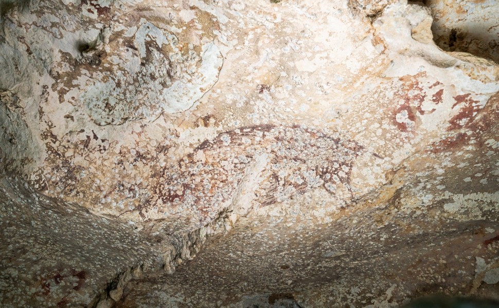 Η σπηλαιογραφία 51.000 ετών στην Κελέβη της Ινδονησίας. Φωτό: Reuters