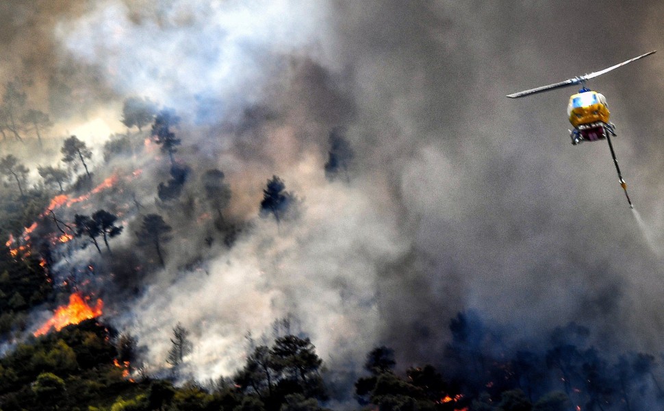 Μεγάλη οικολογική καταστροφή στο Σοφικό Κορινθίας από τη φωτιά / Eurokinissi