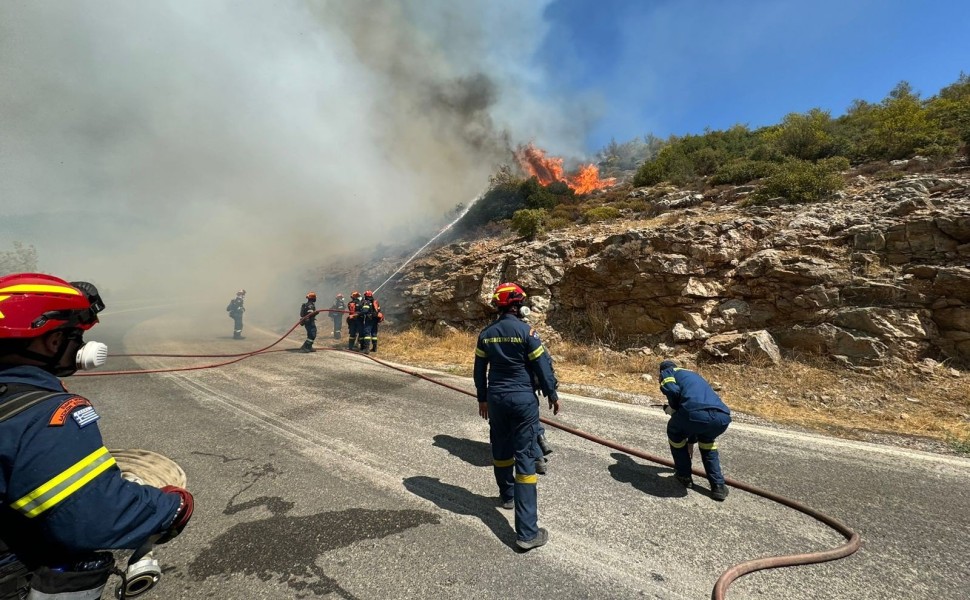 Γιάννης Κέμμος / flash.gr