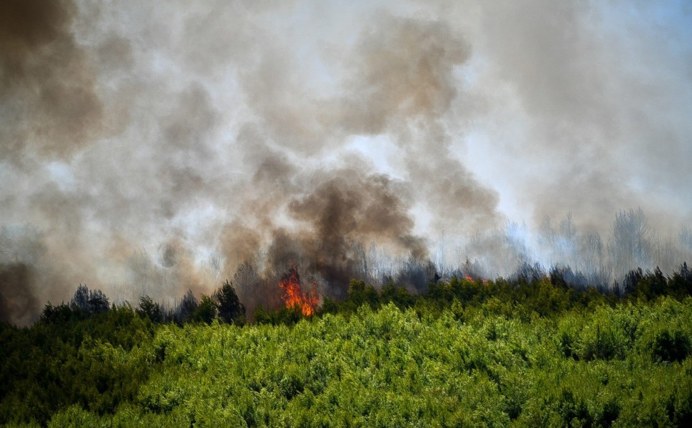 Μεγάλη πυρκαγιά που έσπασε σε τρία μέτωπα από το μεσημέρι στον Ν.Ηλείας.Στιγμιότυπα από τα Βαρβάσαινα και Παλαιοβαρβάσαινα, Σάββατο 29 Ιουλίου 2023 (ΓΙΑΝΝΗΣ ΣΠΥΡΟΥΝΗΣ/ ILIALIVE.GR)